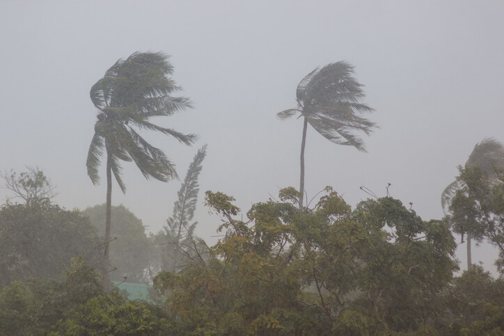 Cleaning Up After Hurricane Michael