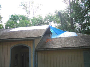 Storm Damage-1