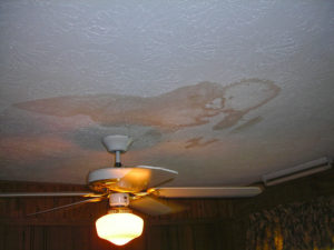 Water Damage-13