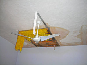 Water Damage-15