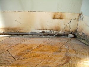 Water & Mold Damage-2