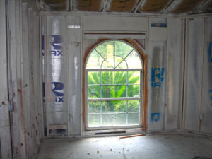 Mold Remediation-8