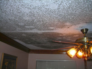 Water & Mold Damage-3