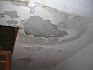 Water & Mold Damage-4