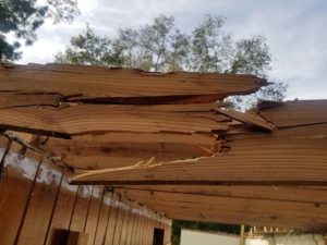 Tree Damage-297