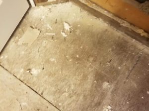 Mold Remediation-15