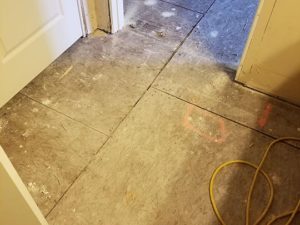 Mold Remediation-49