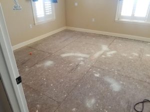 Mold Remediation-48