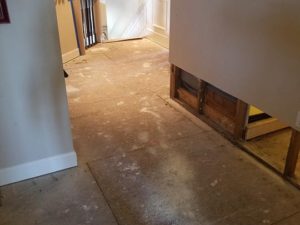 Mold Remediation-47