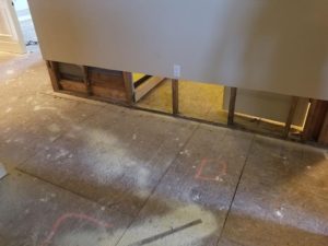 Mold Remediation-46