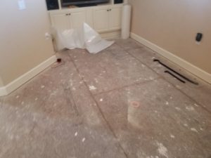 Mold Remediation-45
