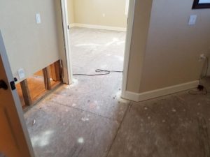 Mold Remediation-44