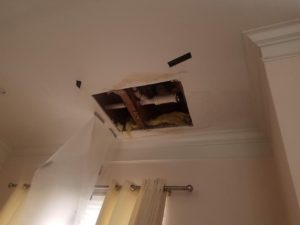 Mold Remediation-34