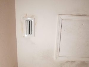 Mold Remediation-33