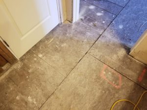 Mold Remediation-12