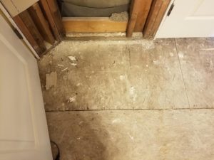 Mold Remediation-54