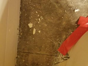 Mold Remediation-51