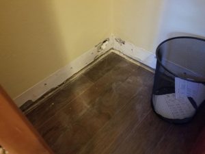 Water Damage-25