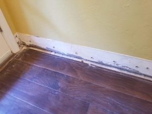 Water Damage-185