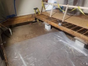 Water Damage-101