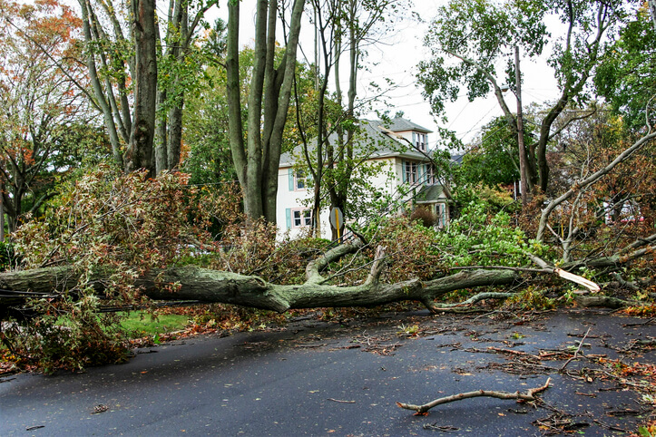 5 Steps To Take After A Storm Damages Your Home