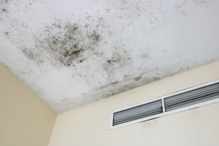 Telltale Signs Your AC Unit Has Mold