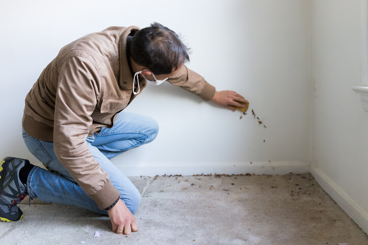 Property Owners: 4 Reasons To Schedule Mold Inspections