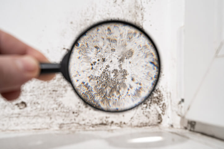 What Causes Bathroom Mold & How To Minimize It