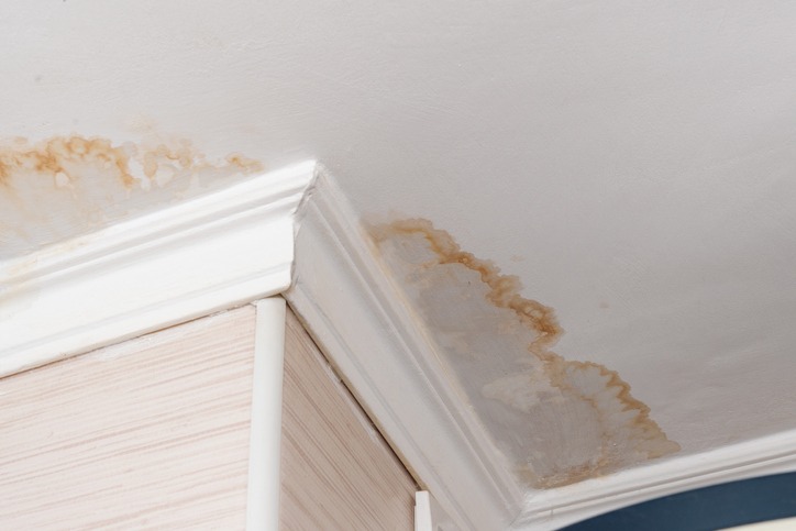 Here’s What You Need To Know About Water Damage