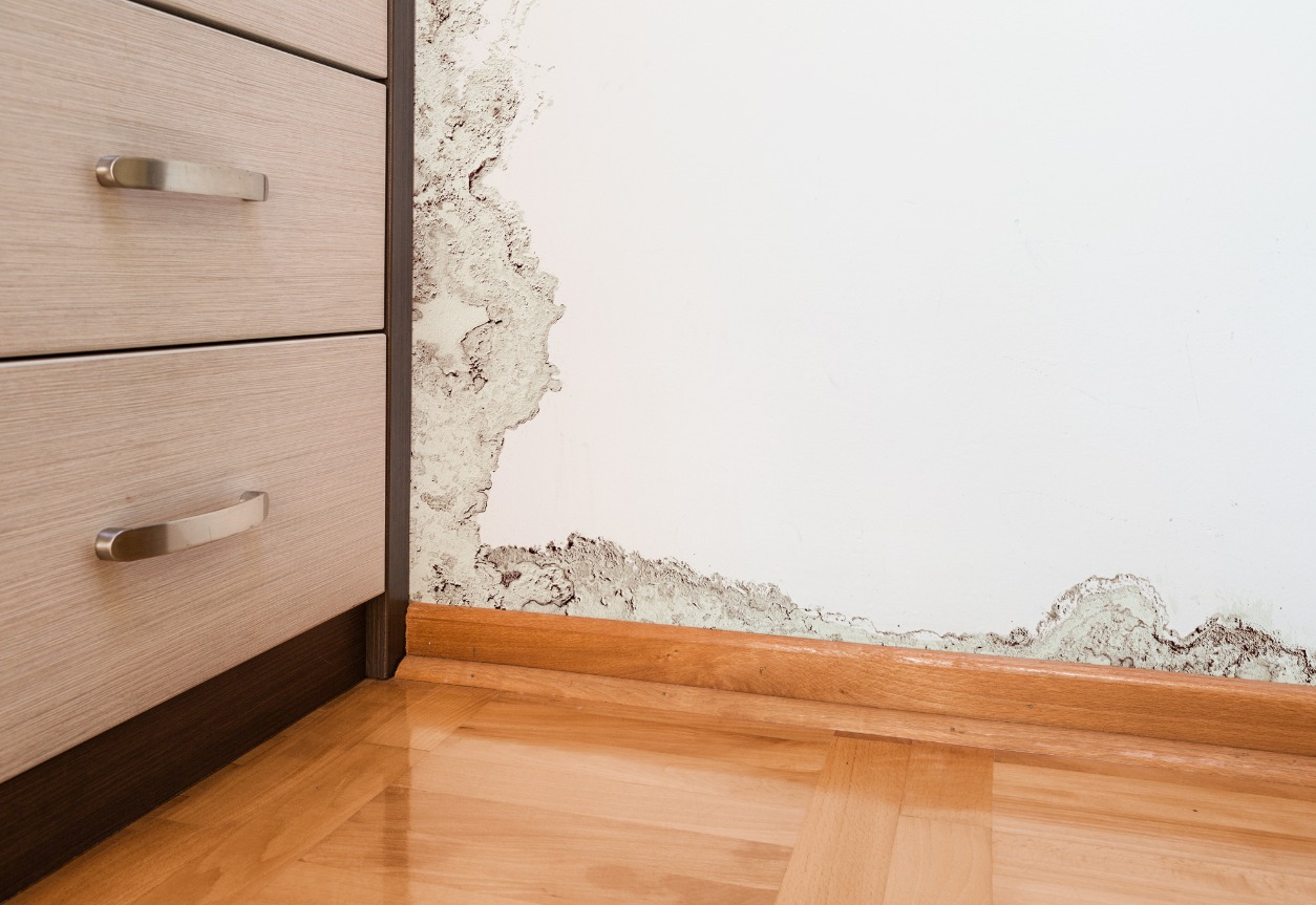 Major Risks of Untreated Water Damage