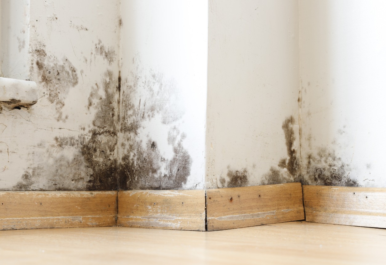 Long-Term Effects Of Water Damage