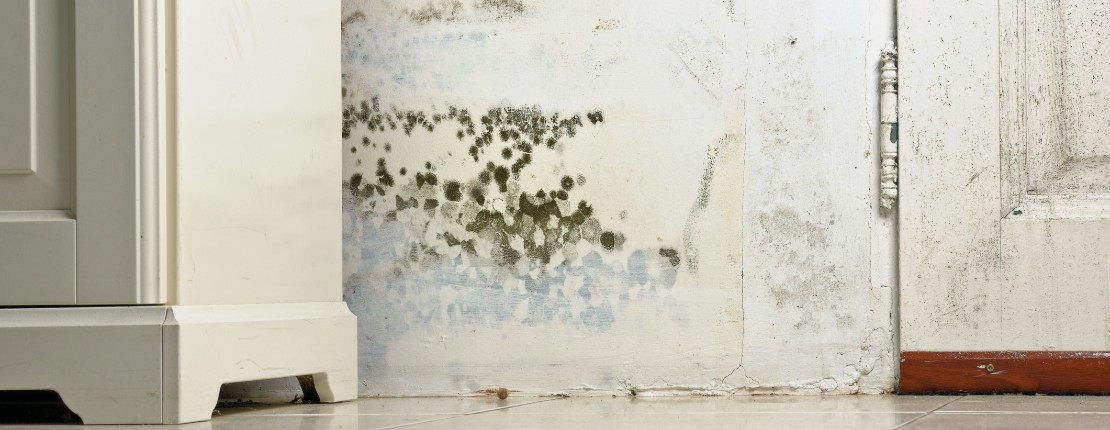 How To Keep Mold Out Of Your Florida Home