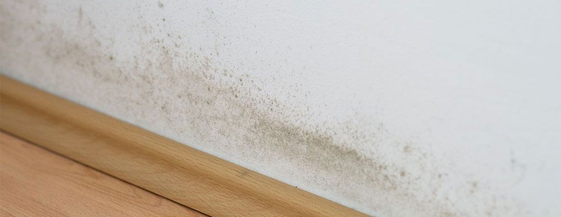 How to Prevent Mold Growth on Flooring in Humid Areas